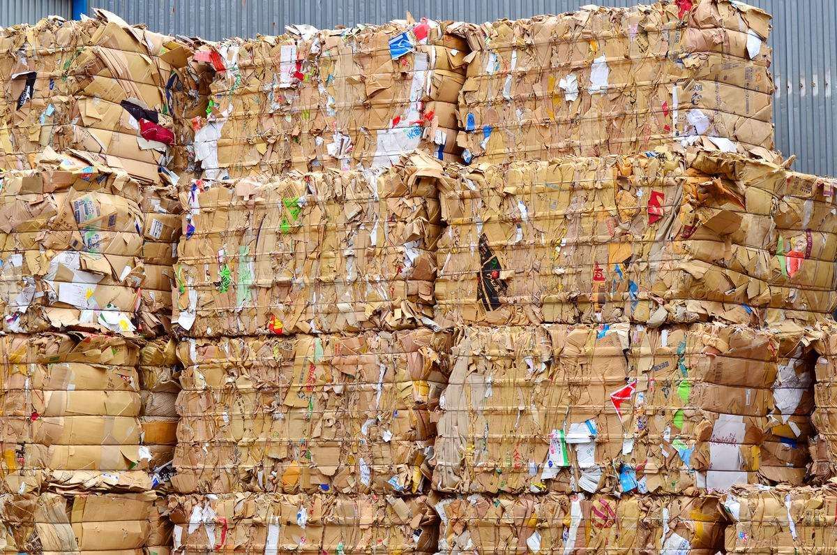 廢紙(zhǐ)市場綜述：局部(bu)反彈與價格波(bō)動