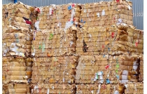 廢紙市場綜(zōng)述：局部反彈(dan)與價格波動(dong)